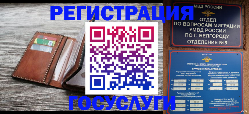 временная регистрация гарантия в Мончегорске