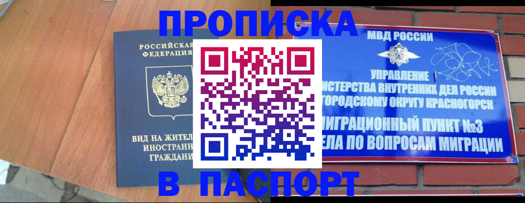 найти адрес прописки в Мончегорске